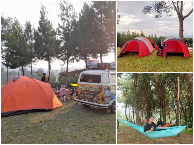 Camping Lembang Pine Forest Camp