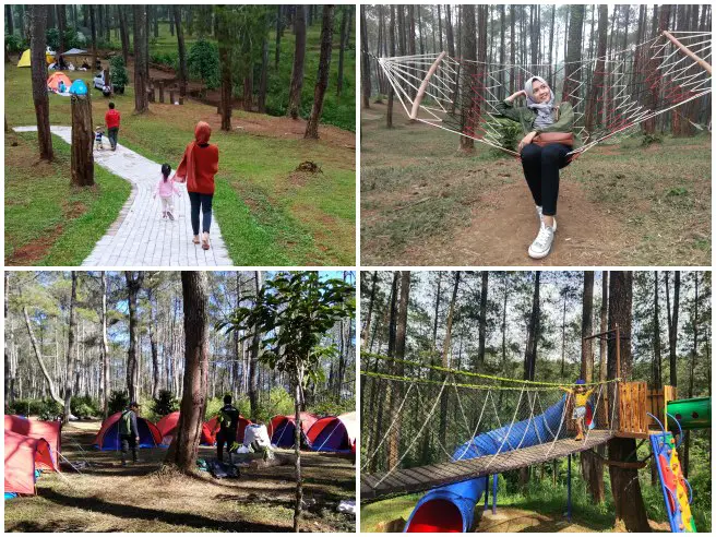 Wisata Hutan Pinus Pal 16 Cikole Lembang