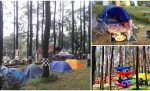 Camping Hutan Pinus Nglimut: Sejuk, Nyaman dan Akses Mudah