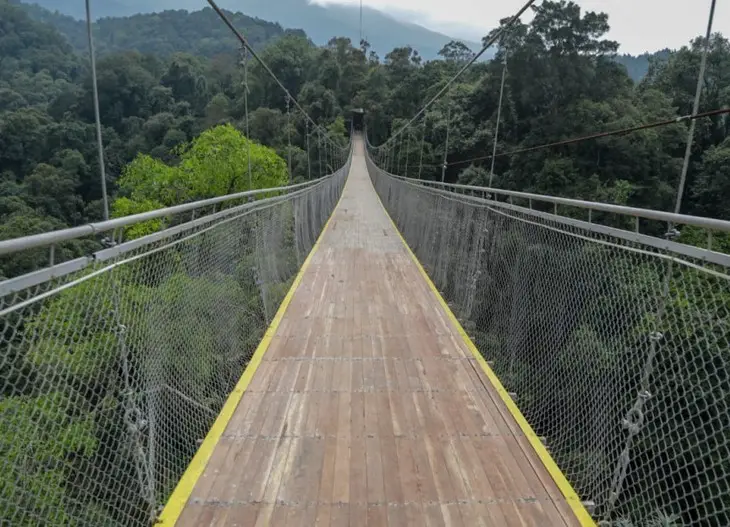 Struktur Jembatan Gantung Sukabumi